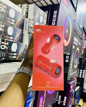 Flip6 JBL Wireless