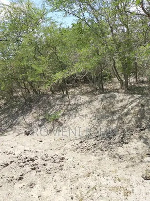 Shamba Heka 200 Linauzwa Milioni 160 Pwani Kwala Location.