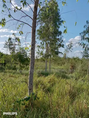 Farms With 325 Acres for Sale at Mkuranga