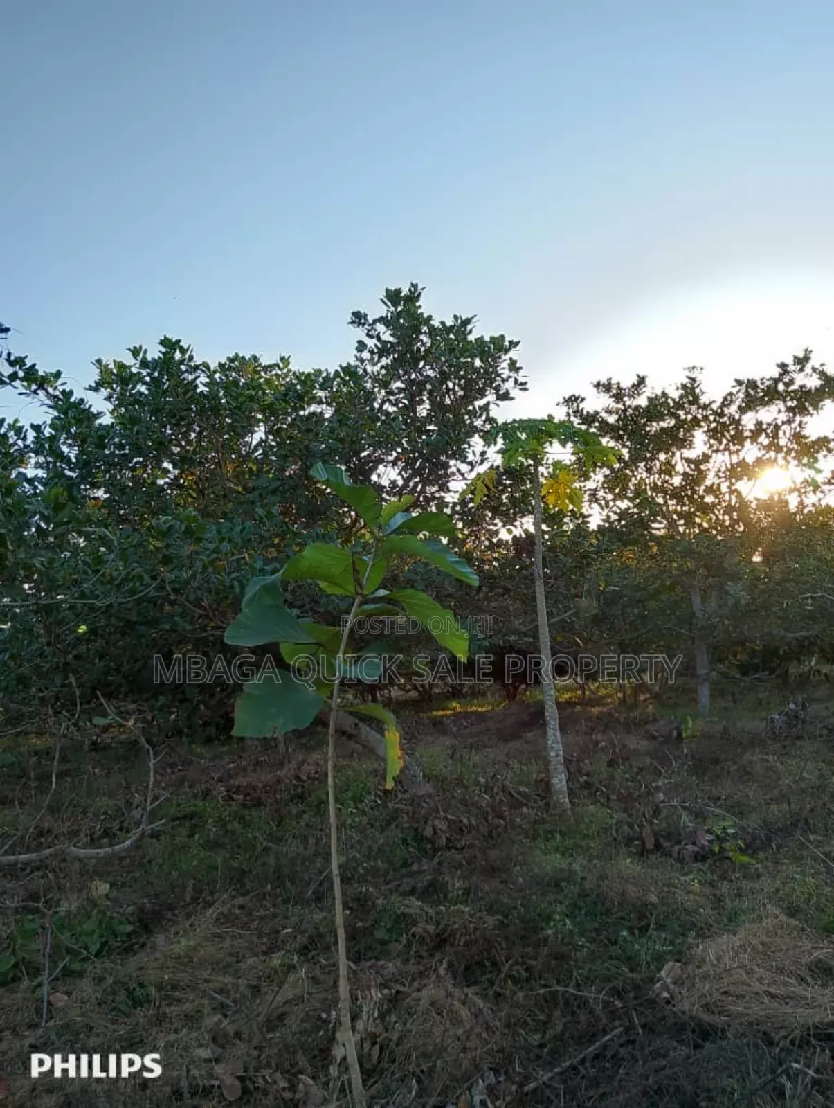 Farms With 325 Acres for Sale at Mkuranga