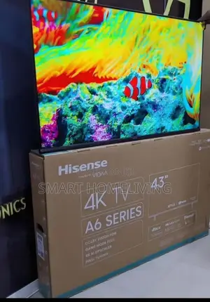 Tv [Hisense] 43 || Smart