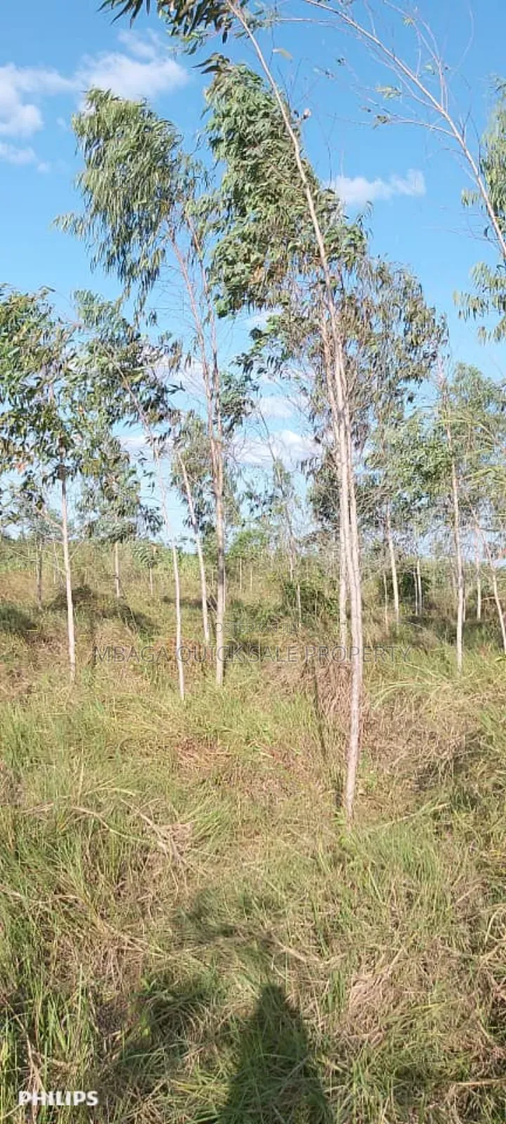 Farm 325 Acres for Sale at Mkuranga in Cluding Godown, Fish Pound