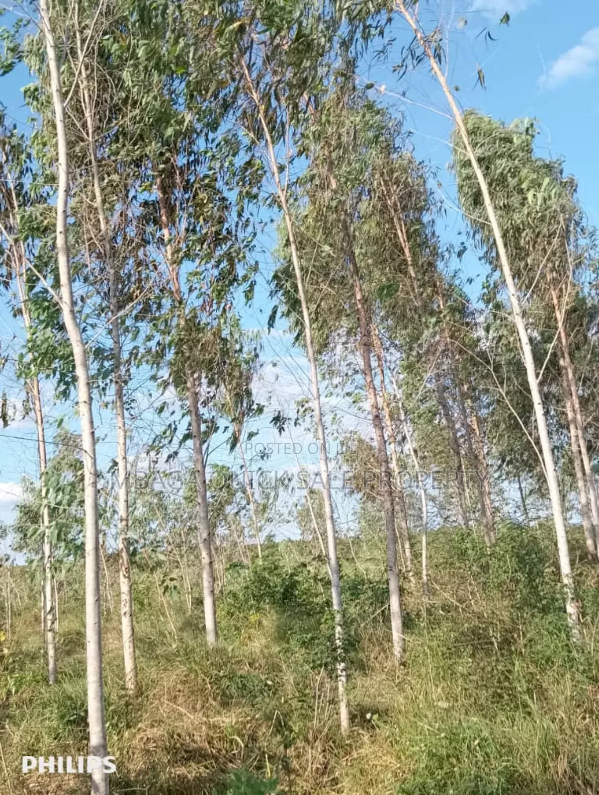 Farm 325 Acres for Sale at Mkuranga in Cluding Godown, Fish Pound