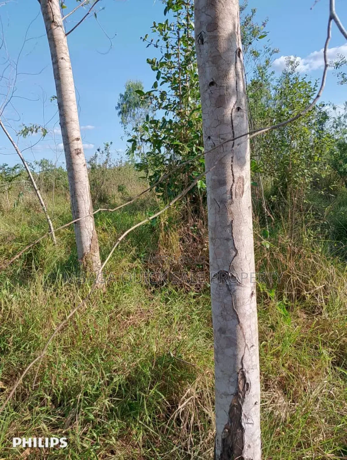 Farm 325 Acres for Sale at Mkuranga in Cluding Godown, Fish Pound