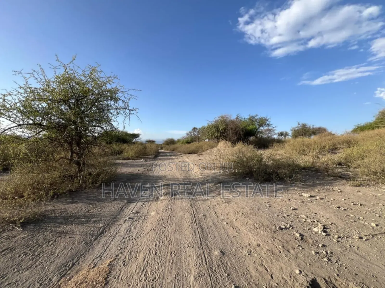 3 Acres Zenye View Ziwa Manyara Zinauzwa