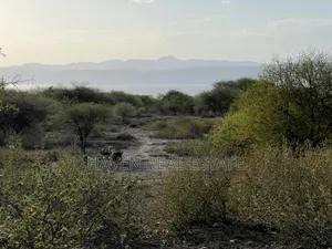 3 Acres Zenye View Ziwa Manyara Zinauzwa