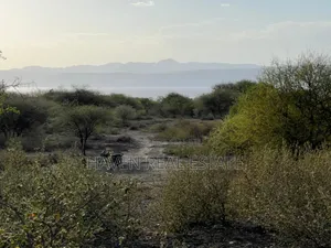 3 Acres Zenye View Ziwa Manyara Zinauzwa