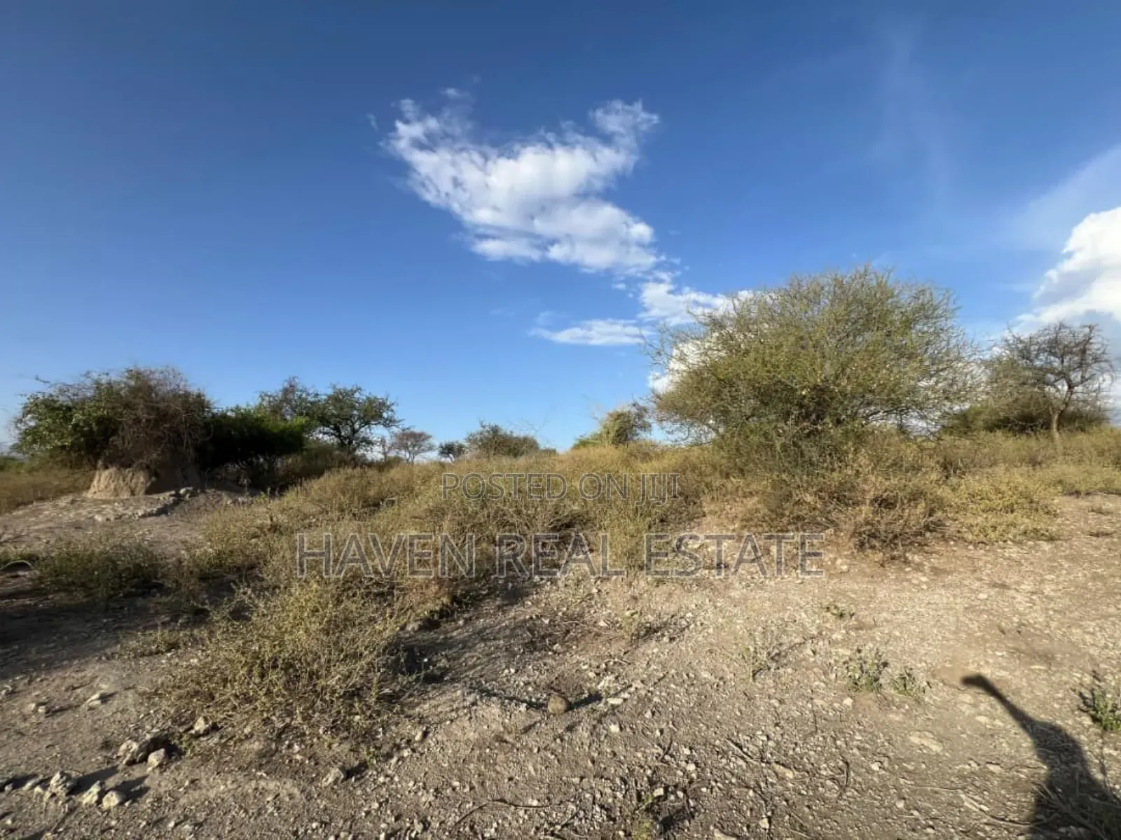 3 Acres Zenye View Ziwa Manyara Zinauzwa