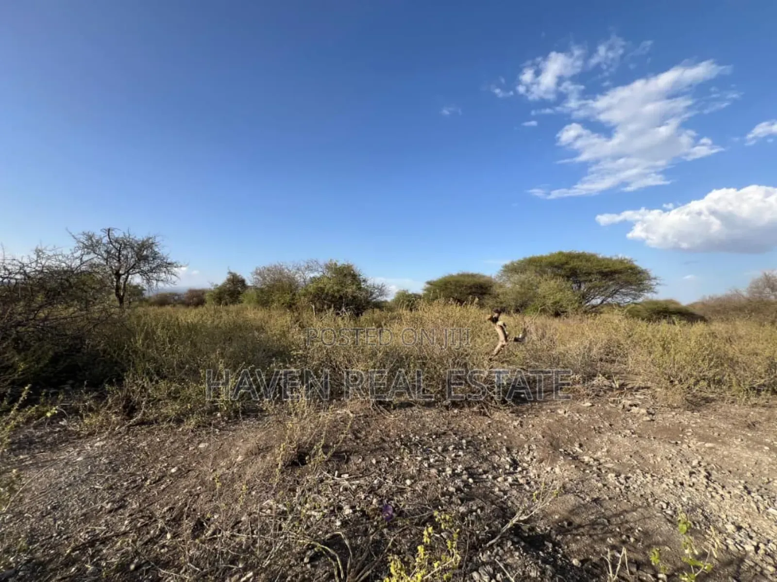 3 Acres Zenye View Ziwa Manyara Zinauzwa