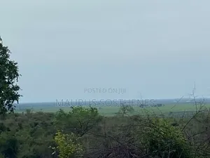 Land for Sale Located in Kiwangwa Bagamoyo, Pwani