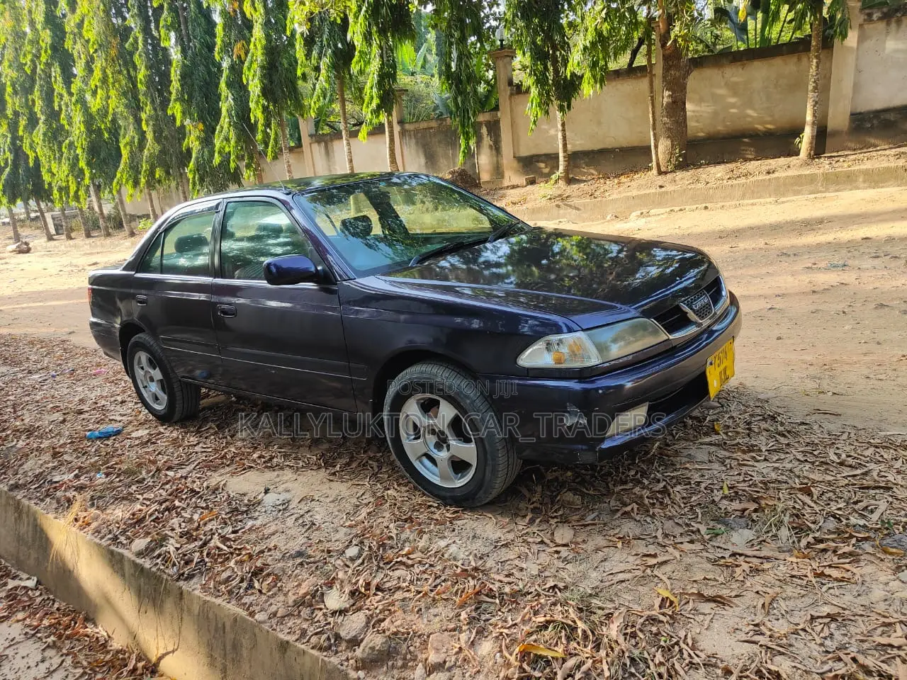 Toyota Carina E 1998 Purple
