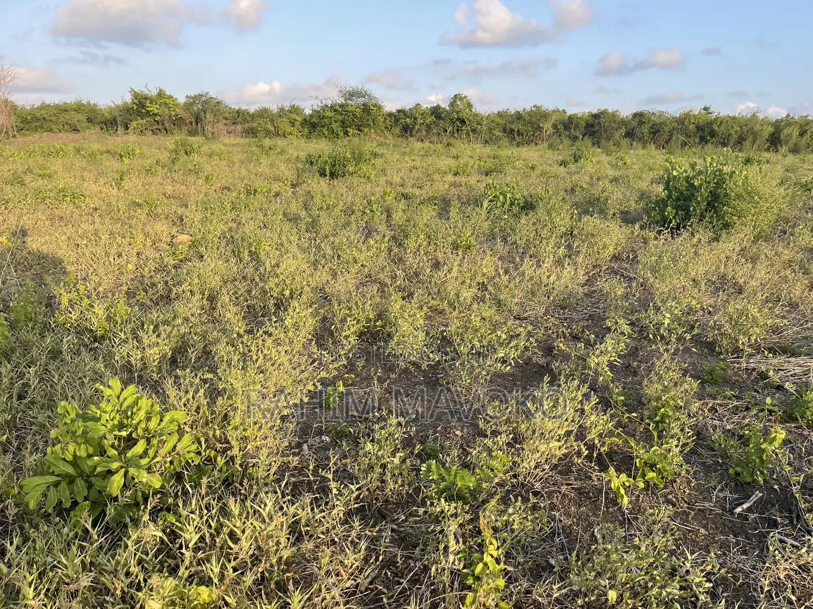Shamba Linauzwa Bago Hekari 40