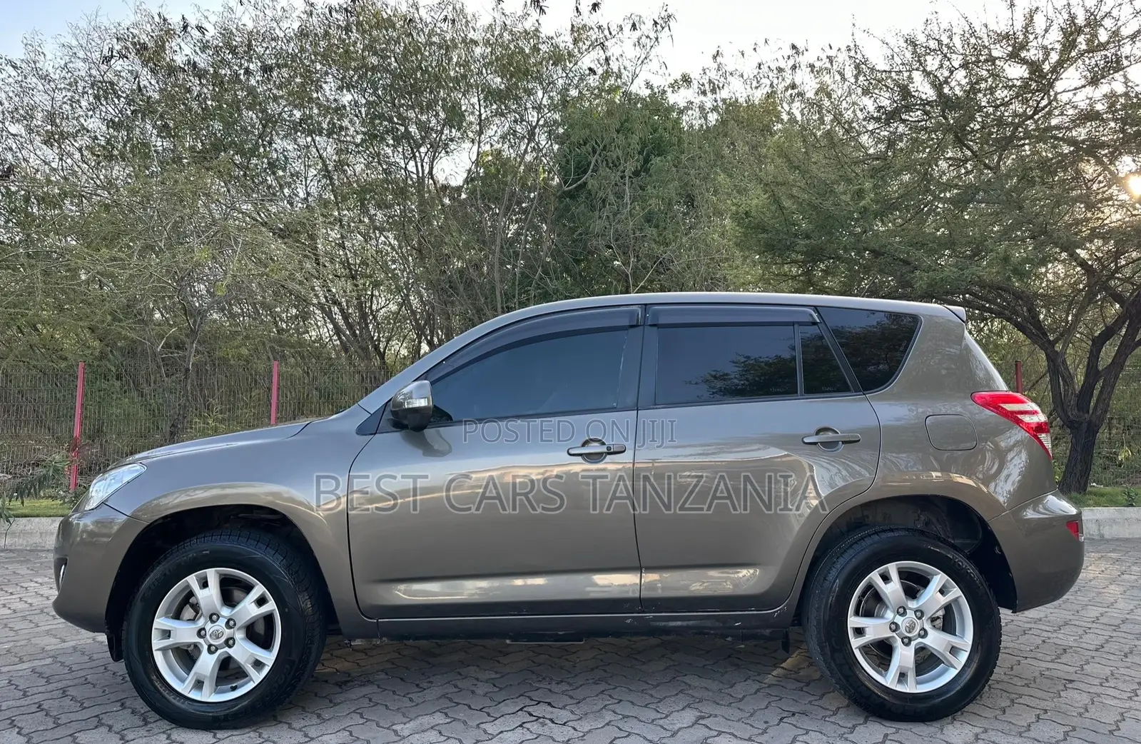 Toyota RAV4 2009 Brown