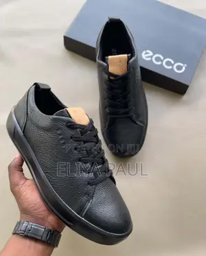 Ecco Brand