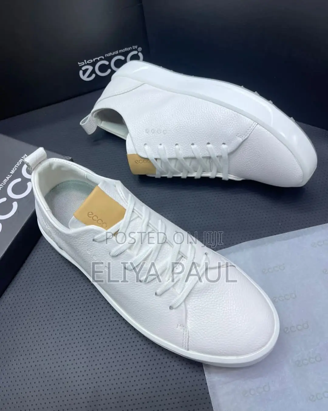 Ecco Brand