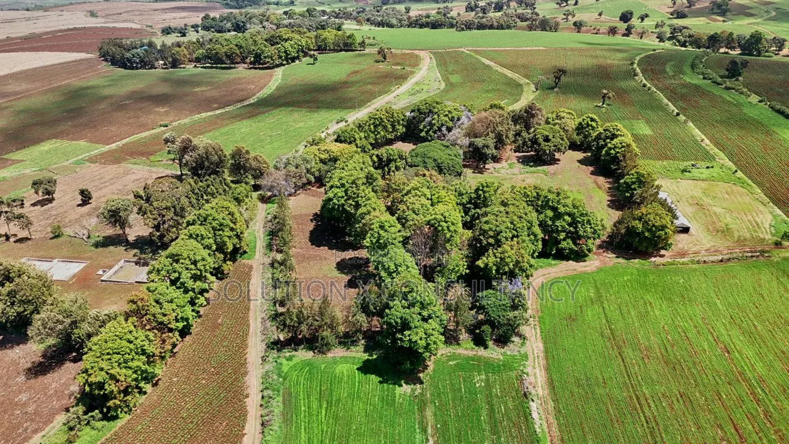 Farm for Sale at West Kilimanjaro
