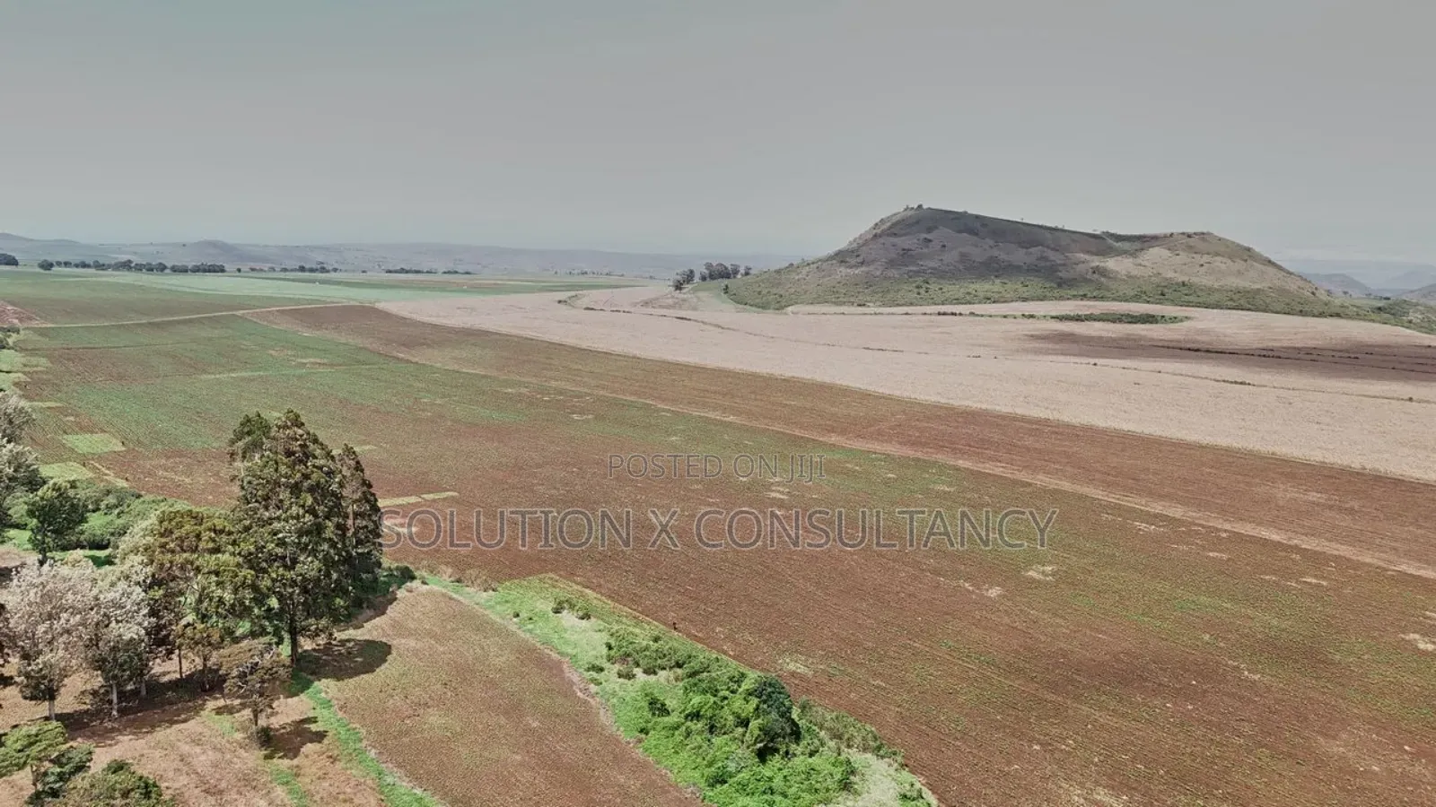 Farm for Sale at West Kilimanjaro