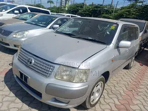Toyota Succeed 2007 Silver