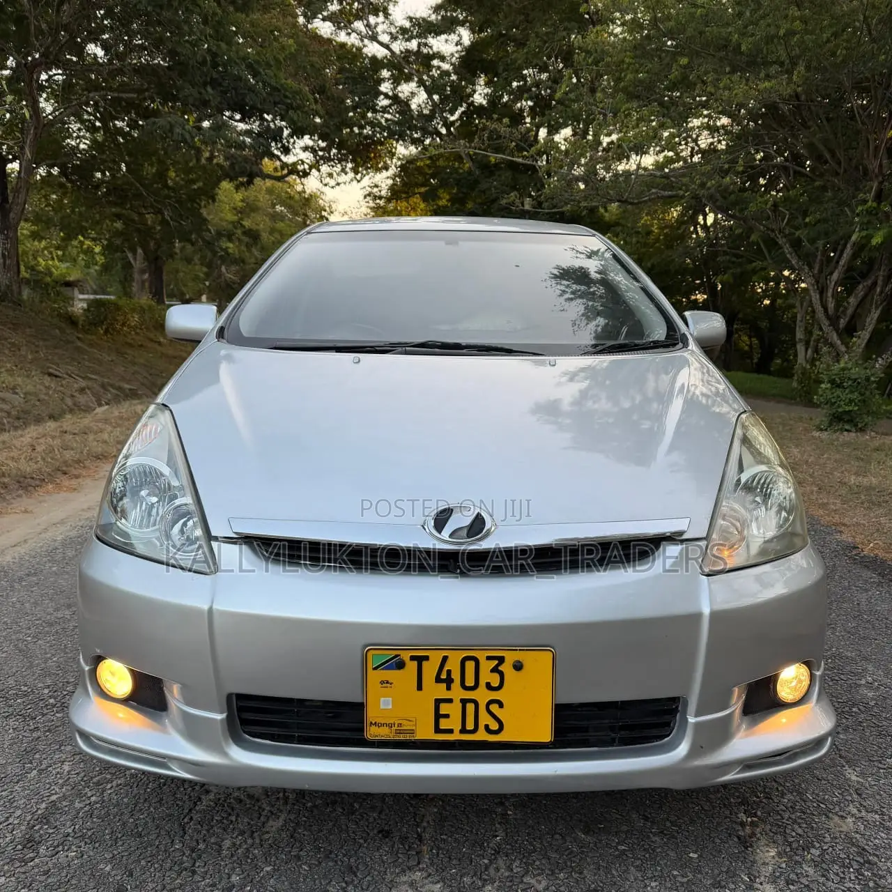 Toyota Wish 2005 Silver
