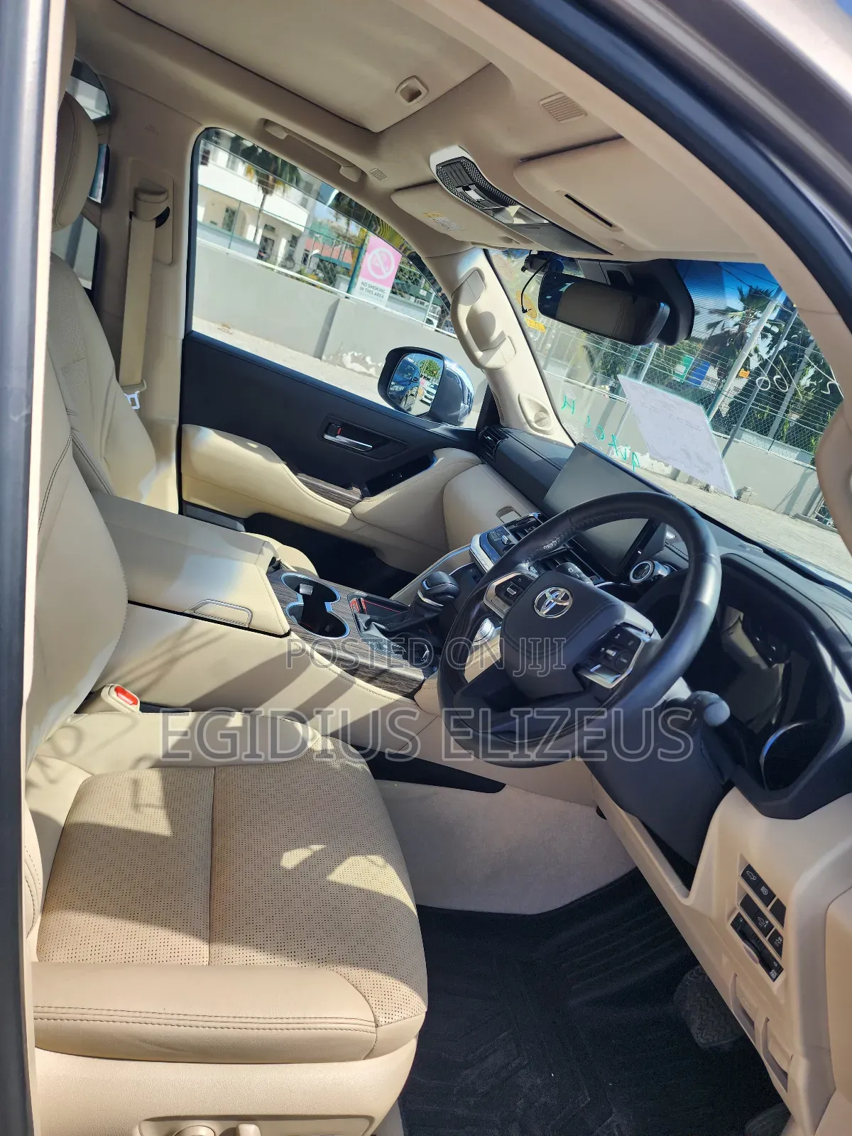 Toyota Land Cruiser 2024 Gray