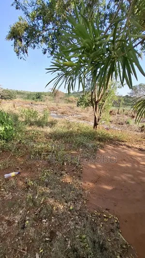 Hector 37 at Morogoro Magole