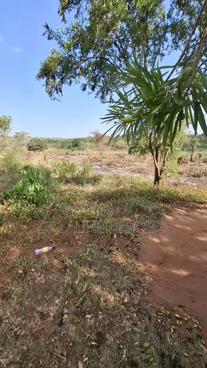Hector 37 at Morogoro Magole