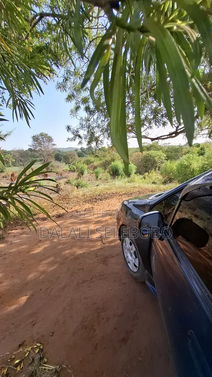 Hector 37 at Morogoro Magole