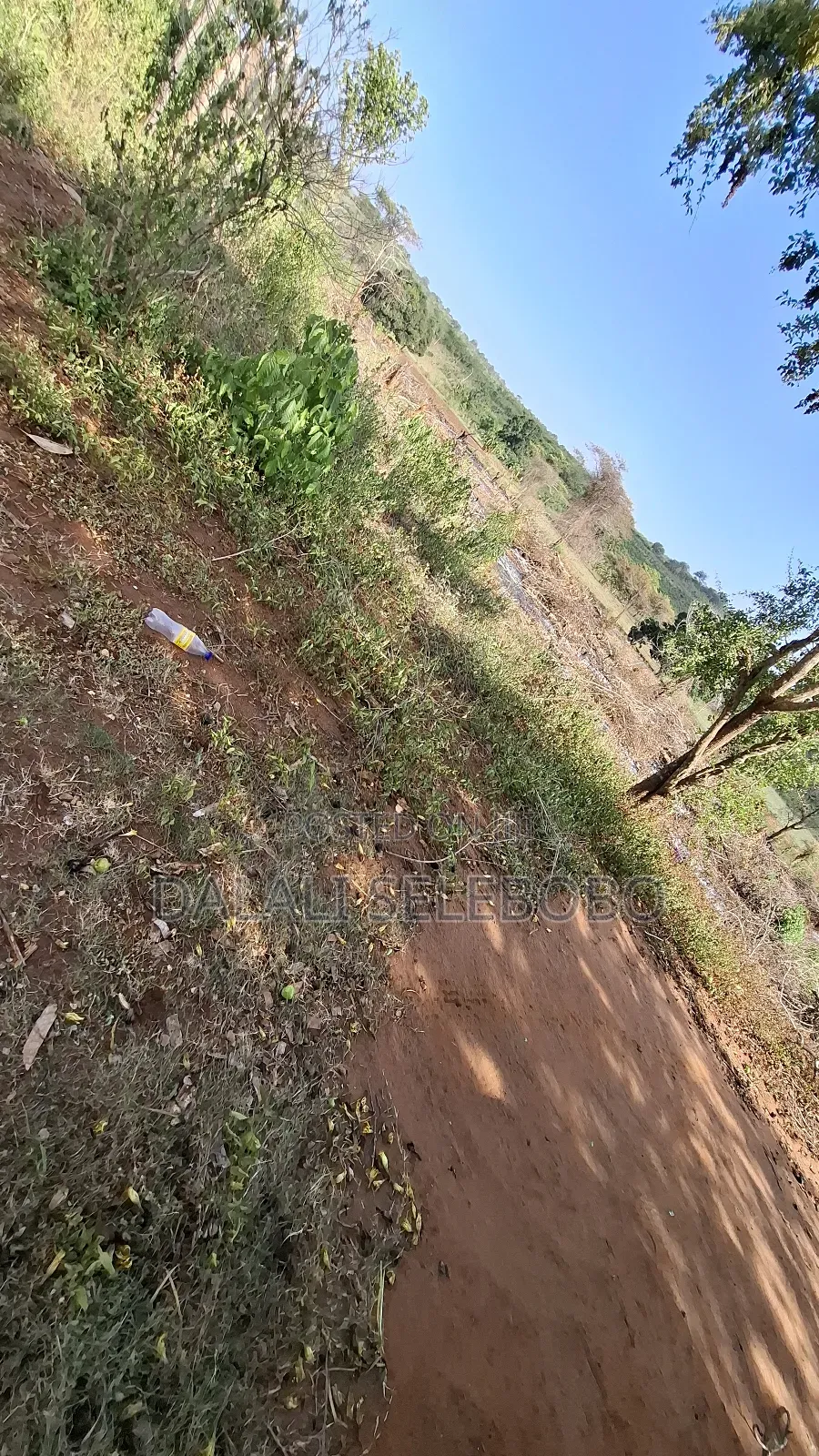 Hector 37 at Morogoro Magole