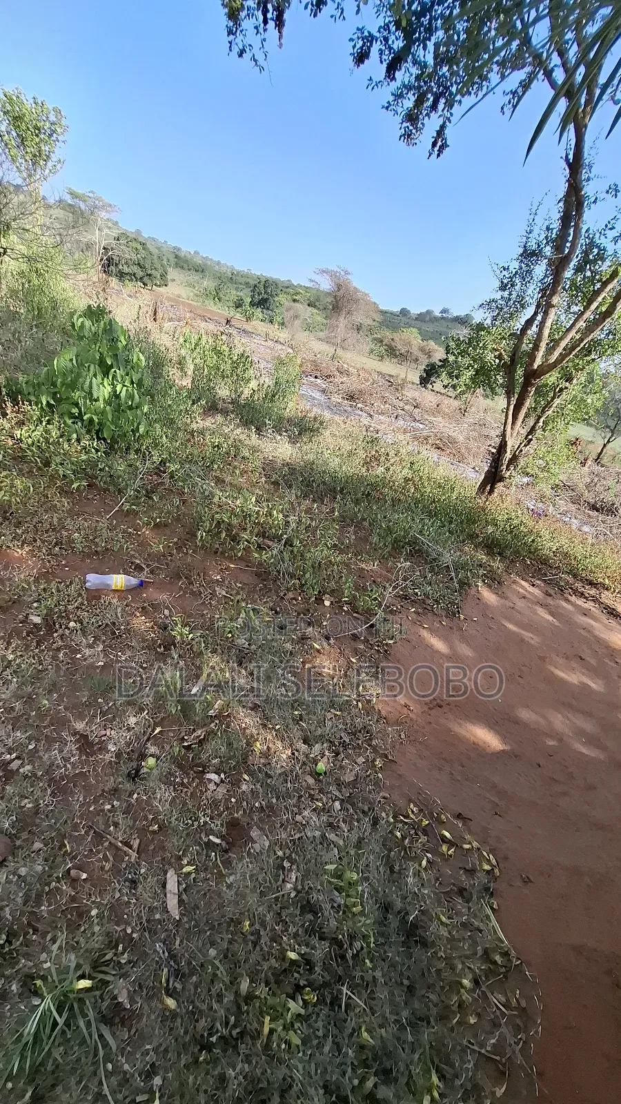 Hector 37 at Morogoro Magole