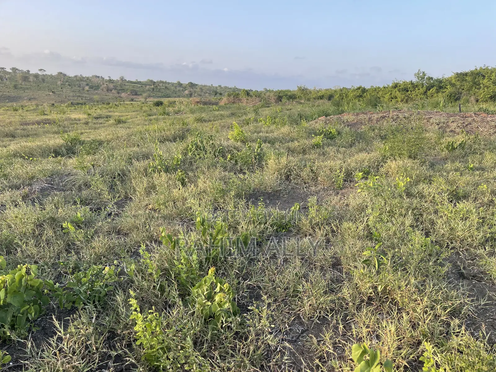 Shamba Linauzwa Bago Hekari 40