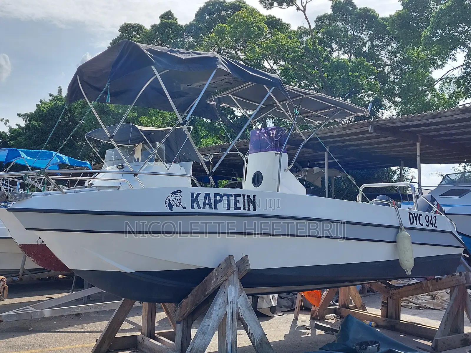 Great Sports Fishing and Leisure Boat