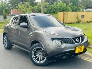 Nissan Juke 2011 Gray