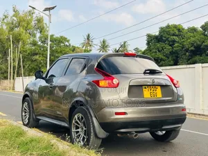 Nissan Juke 2011 Gray