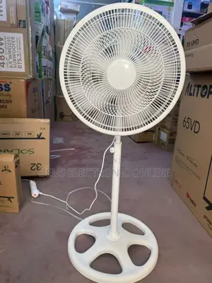 Arita Fan Nyeupe Size 18