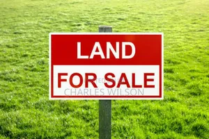 2000 Acres Farm With Songas Gas Access and Nearby River