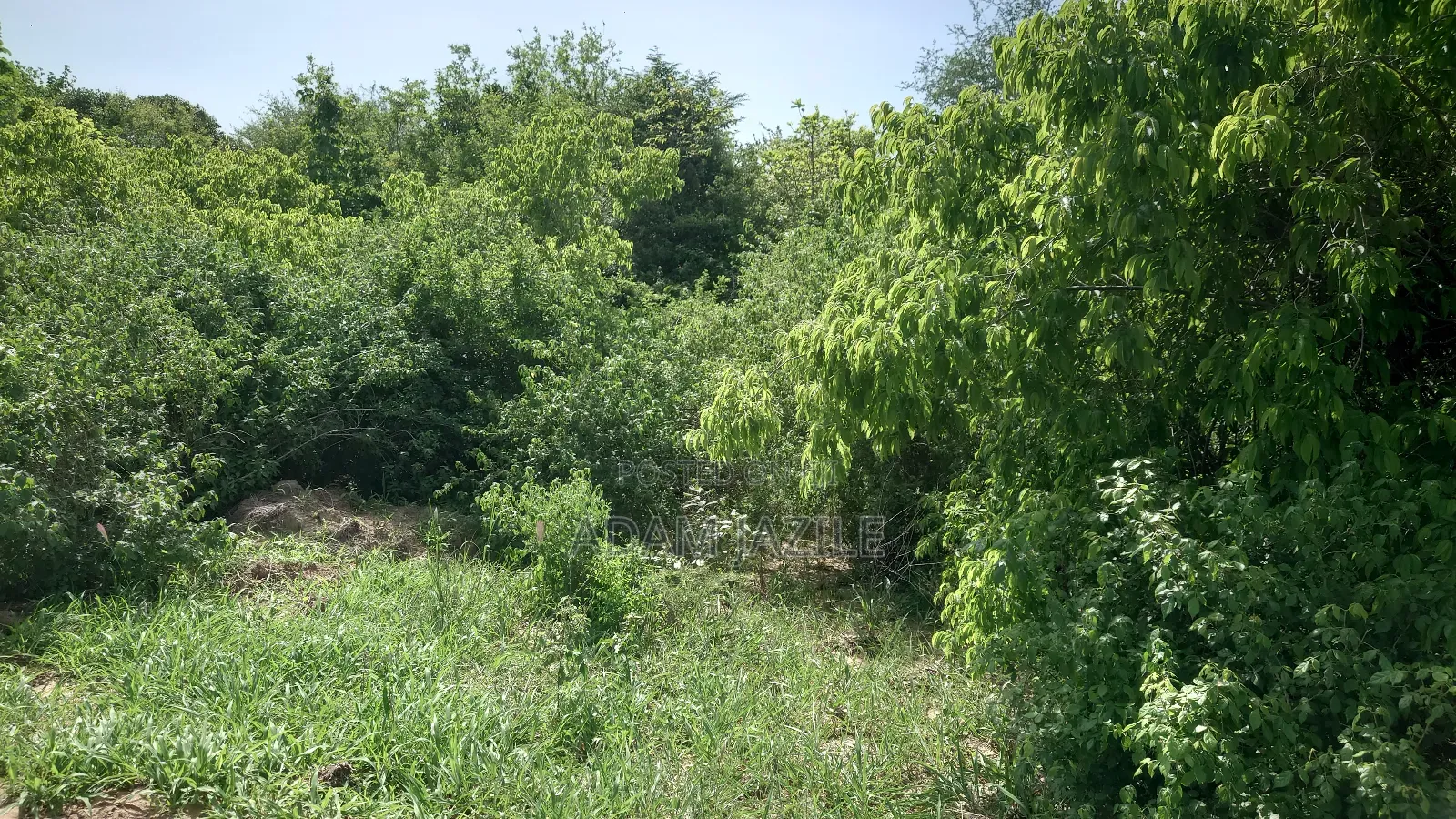 Shamba La Ekari 16 Linauzwa Kidomole
