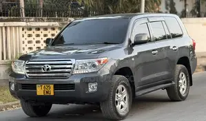 Toyota Land Cruiser 2013 Gray