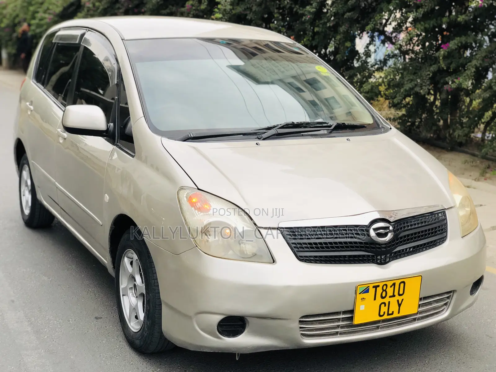 Toyota Corolla Spacio 2004 Gold