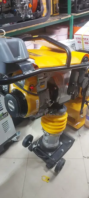 Robin Tamping Rammer (Mguu Wa Jini)