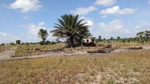 Viwanja Vikindu(Vianzi) Mtaa Wa Kiuta(50ft*40ft)