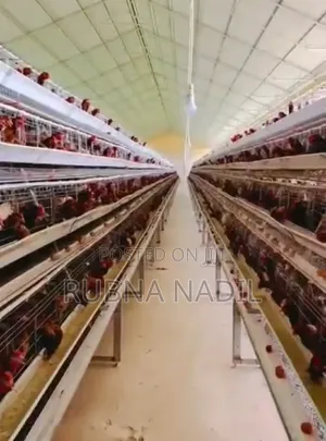 Cage Za Kuku