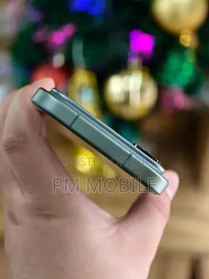 Xiaomi 17 Pro Max 512 GB Gray