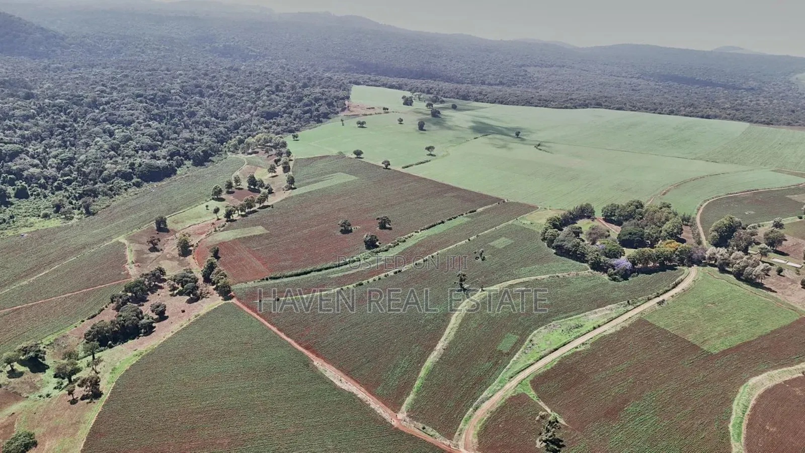 *2,000 Acres Investment Farms for Sale in Ol Molog, West Kilimanjaro*