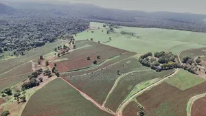 *2,000 Acres Investment Farms for Sale in Ol Molog, West Kilimanjaro*