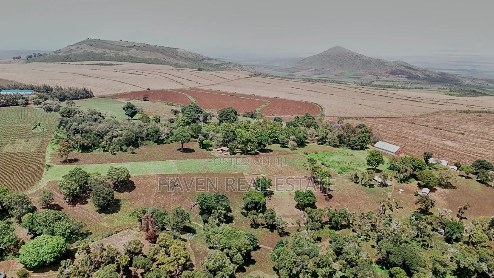 *2,000 Acres Investment Farms for Sale in Ol Molog, West Kilimanjaro*