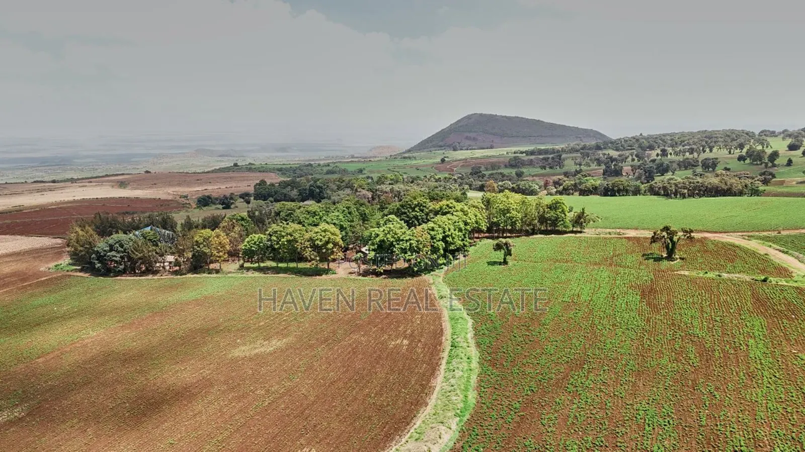 *2,000 Acres Investment Farms for Sale in Ol Molog, West Kilimanjaro*