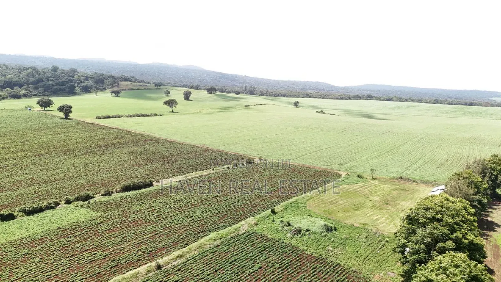 *2,000 Acres Investment Farms for Sale in Ol Molog, West Kilimanjaro*