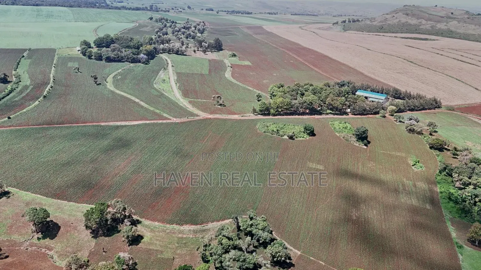 *2,000 Acres Investment Farms for Sale in Ol Molog, West Kilimanjaro*