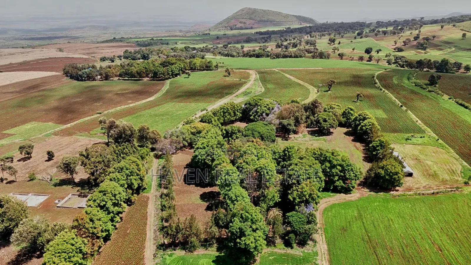 *2,000 Acres Investment Farms for Sale in Ol Molog, West Kilimanjaro*