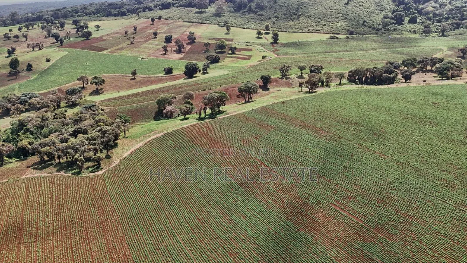 *2,000 Acres Investment Farms for Sale in Ol Molog, West Kilimanjaro*